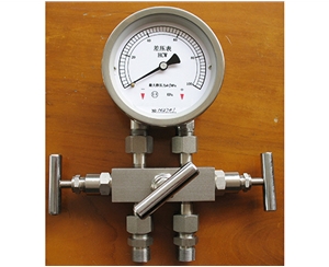 合肥差压表带三阀组